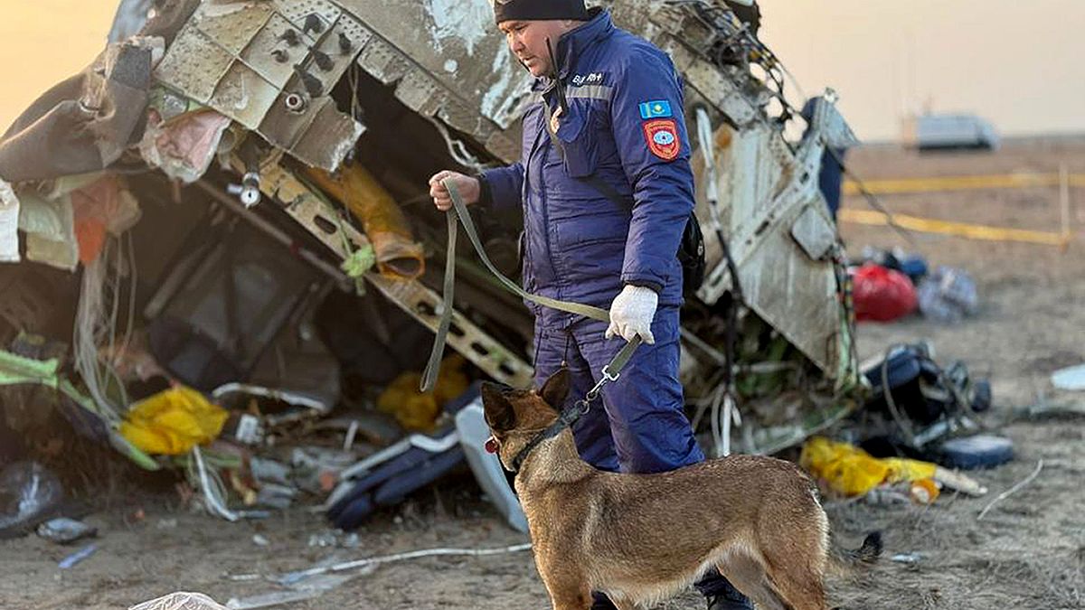 Российская ракета, птицы или взрыв: какие версии крушения самолёта выдвигают СМИ и власти