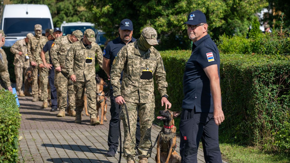 Четвероногие сапёры отправляются помогать Украине